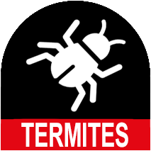 Logo Termites - Prestadiag